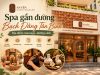 Spa gần đường Bạch Đằng Tân Bình – Địa điểm massage, dưỡng sinh