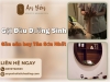 Gội Đầu Dưỡng Sinh Gần Sân Bay Tân Sơn Nhất – Thư Giãn Trong Một Tiếng