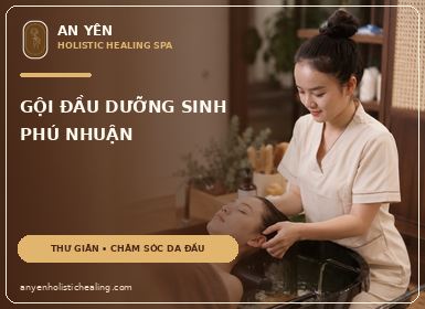 Gội Đầu Dưỡng Sinh Phú Nhuận Có Gì Khác Gội Đầu Thông Thường? 