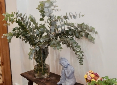 An Yên Holistic Healing Spa – Spa Chữa Lành Healing Tân Bình Mang Đến Sự Bình Yên Thật Sự 